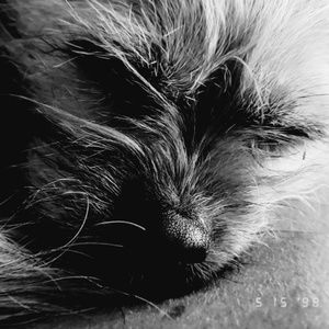 Meet your Posher, Ellie